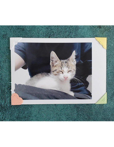 Plantilla de Corte de Metal Hina para Scrapbooking 7.3x5.2cm