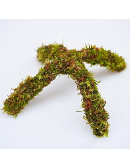 Soporte de Escalada para Cangrejo Ermitaño Begeterday 15 cm