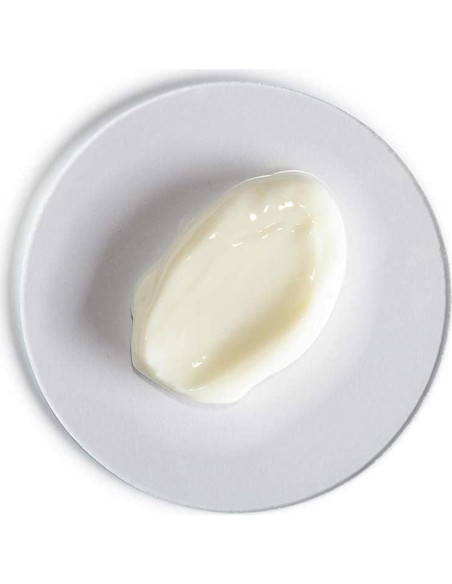 Crema Nutritiva Renight Zona de Confort 113g Tratamiento Nocturno