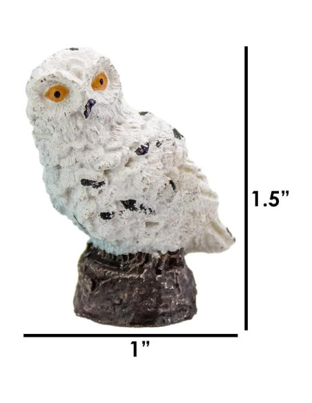 Kit Terrario DIY NW Wholesaler con Planta Aire Tillandsia 5cm