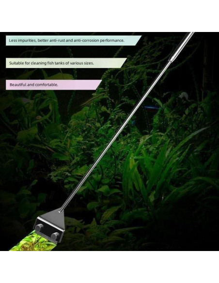 Raspador de Algas Extensible FRAKS de Acero Inoxidable 65cm