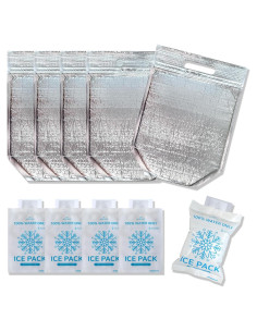 Bolsa Aislante Térmica BnGT Mediana 24.9x27.9cm 5 Piezas