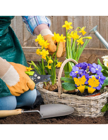 Trampas Adhesivas para Moscas de Fruta USKICH 96 Piezas