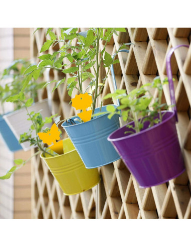 Trampas Adhesivas para Moscas de Fruta USKICH 96 Piezas