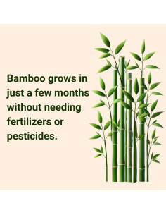 Toallas Faciales Hipoalergénicas MOTHER EARTH XL - 200 Pzas 2