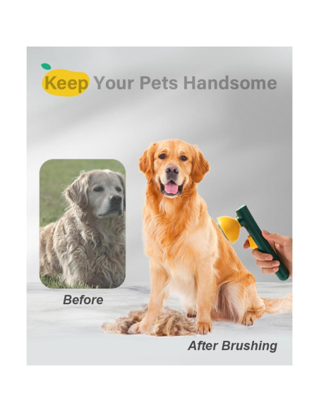 Cepillo Slicker Autolimpiante Awpland para Perros y Gatos