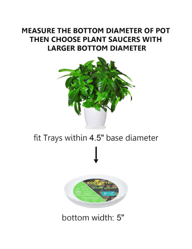 Paquete de 7 bandejas de plástico ECOESPTI 14.8 cm blancas