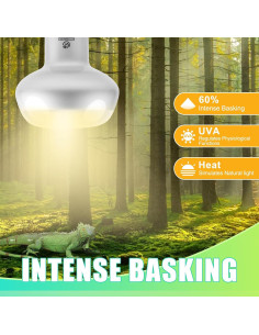 Lámpara de Calor para Reptiles REPTI HOME 50W 2Pack UVA 2