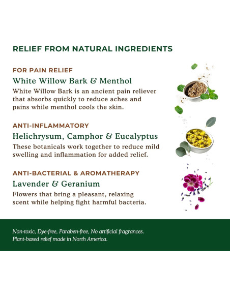 Bálsamo Natural para Alivio del Dolor Nature's Willow 946 ml