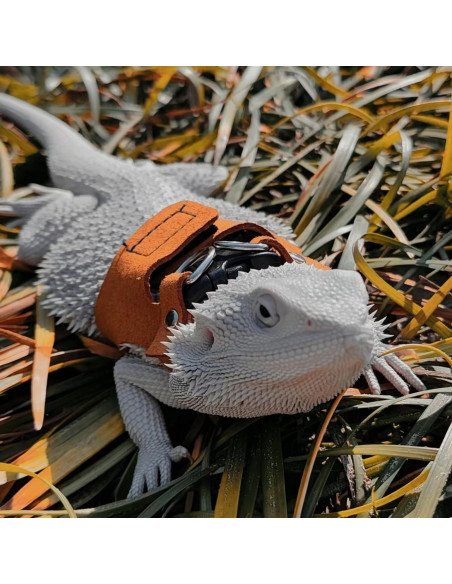Juego de Arnés y Correa Retráctil SEZDEKI para Dragón Barbudo Juego de Arnés y Correa Retráctil SEZDEKI para Dragón Barbudo