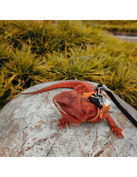 Juego de Arnés y Correa Retráctil SEZDEKI para Dragón Barbudo Juego de Arnés y Correa Retráctil SEZDEKI para Dragón Barbudo