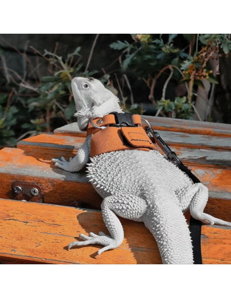 Juego de Arnés y Correa Retráctil SEZDEKI para Dragón Barbudo Juego de Arnés y Correa Retráctil SEZDEKI para Dragón Barbudo