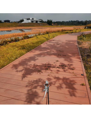 Juego de Arnés y Correa Retráctil SEZDEKI para Dragón Barbudo