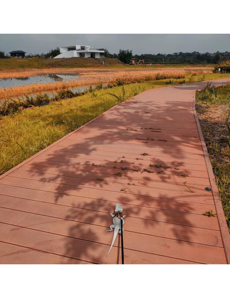 Juego de Arnés y Correa Retráctil SEZDEKI para Dragón Barbudo Juego de Arnés y Correa Retráctil SEZDEKI para Dragón Barbudo