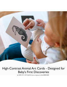 Tarjetas de Arte Wee Gallery para Bebés - Animales en Blanco y Negro 2