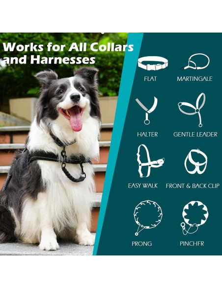 Clip de Seguridad para Collar de Perro PetBonus - Negro