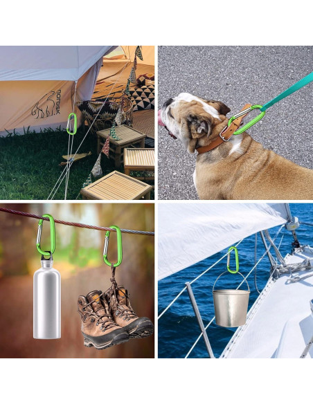 6 Clips de Carabiner de Aluminio CampTek 79mm D-Forma