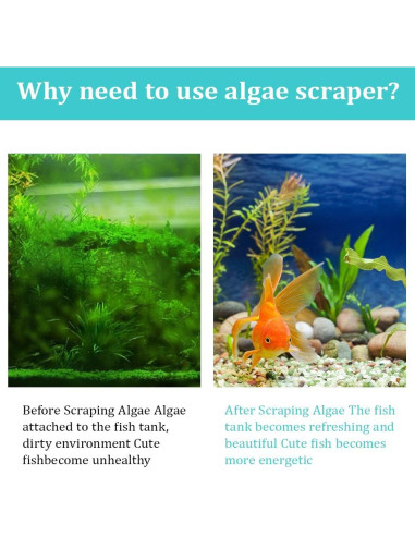 Raspador de Algas ZRDR Acero Inoxidable 89.9 cm Multifuncional