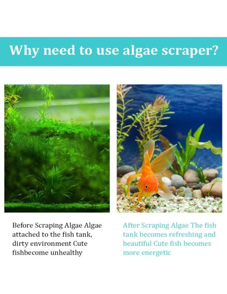 Raspador de Algas ZRDR Acero Inoxidable 89.9 cm Multifuncional