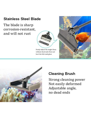 Raspador de Algas ZRDR Acero Inoxidable 89.9 cm Multifuncional