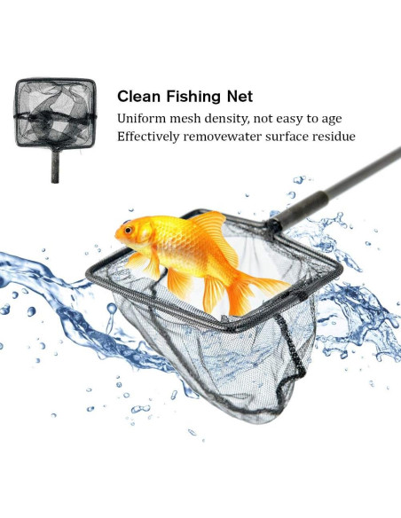 Raspador de Algas ZRDR Acero Inoxidable 89.9 cm Multifuncional