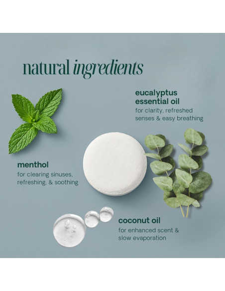 Bolsitas de Vapor de Aromaterapia Eucalipto Spa Para Uno - 10 Unidades