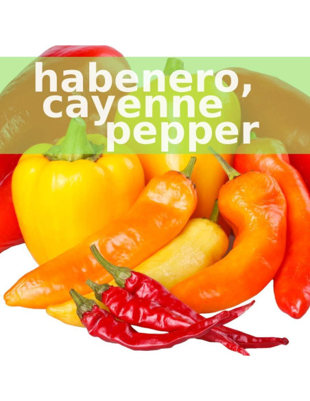 Tónico Herbal SpeedyVite 59 ml Orgánico Inmunológico Tónico Herbal SpeedyVite 59 ml Orgánico Inmunológico