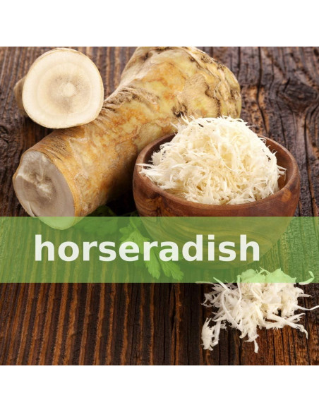 Tónico Herbal SpeedyVite 59 ml Orgánico Inmunológico Tónico Herbal SpeedyVite 59 ml Orgánico Inmunológico