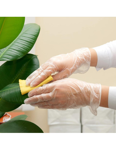 Guantes de Examen de Vinilo Schneider VMFC20, 50 Unidades, Sin Látex