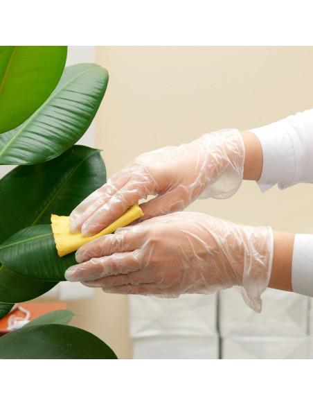 Guantes de Examen de Vinilo Schneider VMFC20, 50 Unidades, Sin Látex