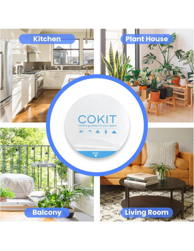 Paquete de 12 almohadillas adhesivas COKIT para trampas de insectos 10.16 cm