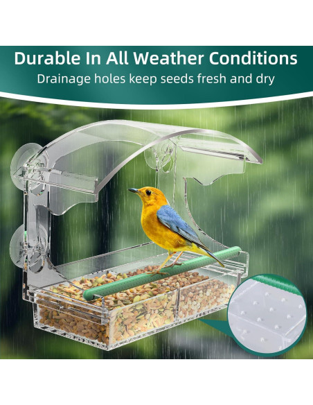 Comedero para Aves de Ventana Hasuber Acrílico Transparente