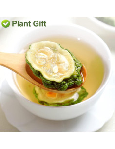 Fruta de Melón Amargo Greenlike 500g - Momordica charantia 2