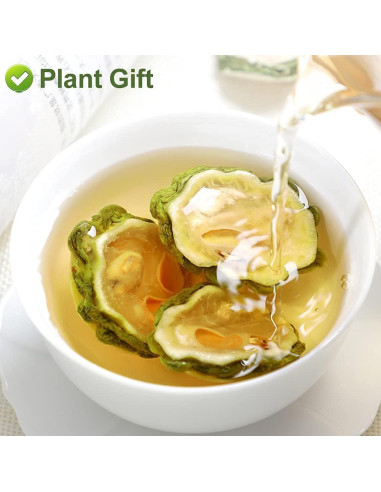 Fruta de Melón Amargo Greenlike 500g - Momordica charantia