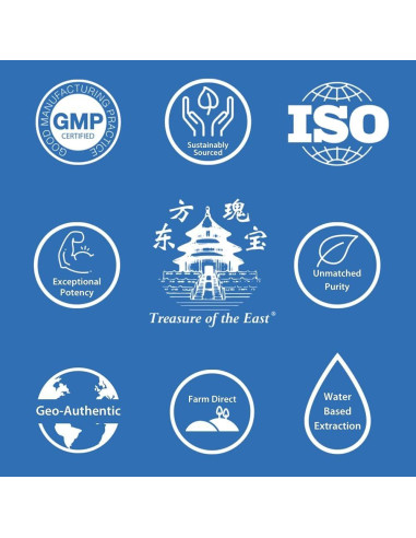 Extracto Herbal Concentrado Tesoro del Este 100g - Shi Jian Chuan