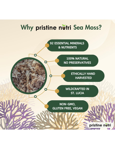Musgo Marino Dorado Pristine Nutri 226g Crudo y Natural