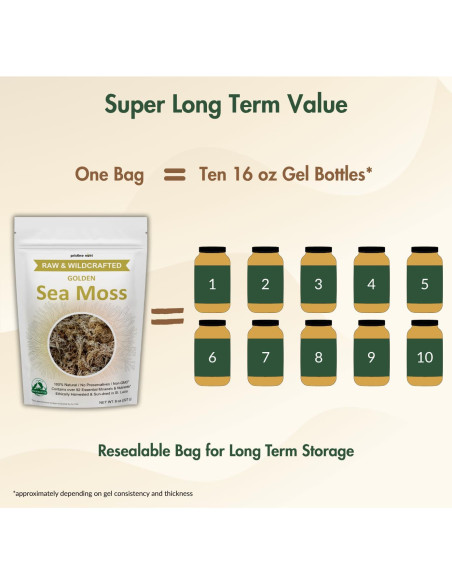 Musgo Marino Dorado Pristine Nutri 226g Crudo y Natural