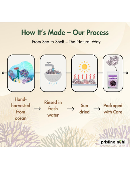 Musgo Marino Dorado Pristine Nutri 226g Crudo y Natural