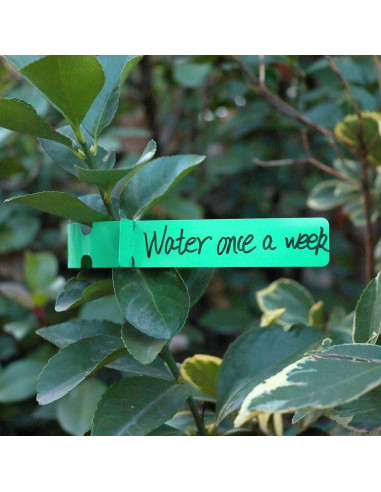 200 Etiquetas de Plantas AIQINHU PVC 21 cm Impermeables