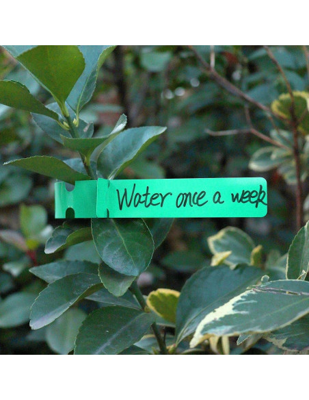 200 Etiquetas de Plantas AIQINHU PVC 21 cm Impermeables