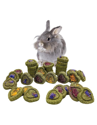 36 Piezas Juguetes Masticables Hamiledyi para Conejos y Roedores