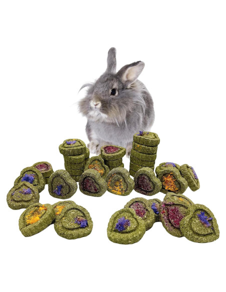 36 Piezas Juguetes Masticables Hamiledyi para Conejos y Roedores