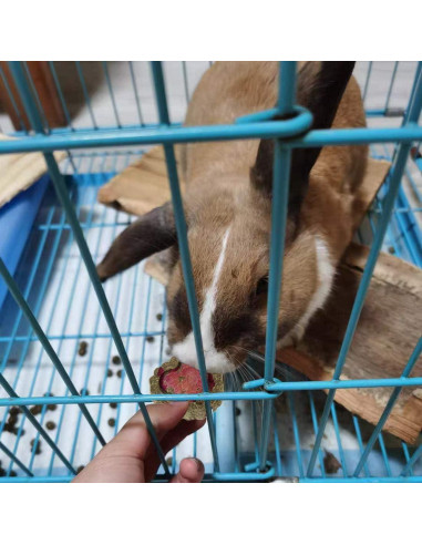 36 Piezas Juguetes Masticables Hamiledyi para Conejos y Roedores