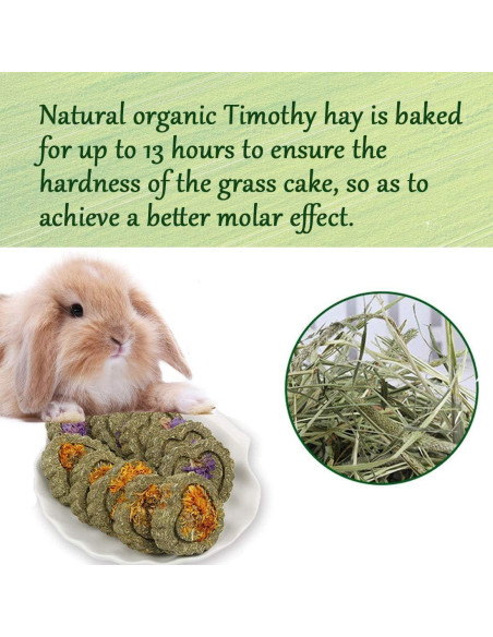 36 Piezas Juguetes Masticables Hamiledyi para Conejos y Roedores