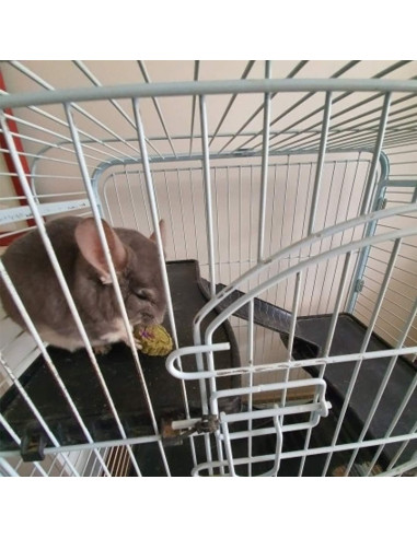 36 Piezas Juguetes Masticables Hamiledyi para Conejos y Roedores