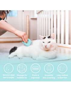 Peine Shell Masajeador para Gatos Leo's Paw 2 en 1 2