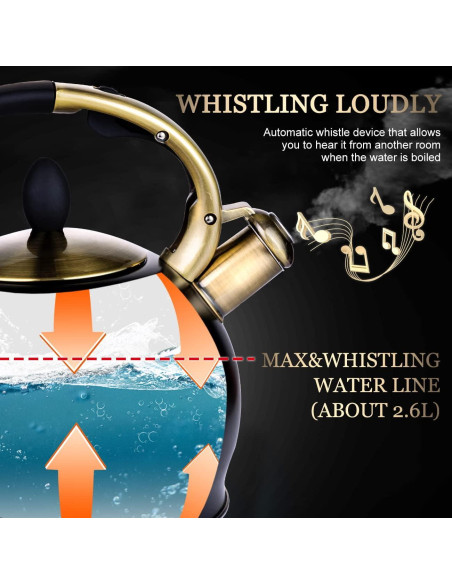 Tetera Silbante SUSTEAS de Acero Inoxidable 2.5L con Mitón