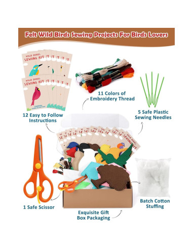 Kit de Costura de Aves Silvestres CiyvoLyeen para Niños - 12 Proyectos