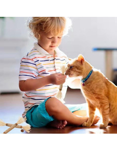 Kit de Juguetes para Gatos GREMBEB - 3 Paquetes Interactivos 2