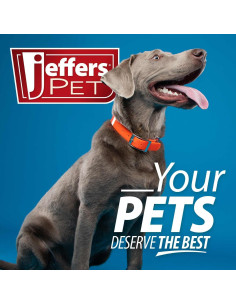 Cepillo de Aseo Doble Cara Jeffers para Mascotas - Pequeño 2